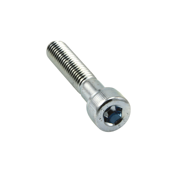 CHAMPION - BLISTER UNC SOCKET HEAD SCREW 5/16 X 1''